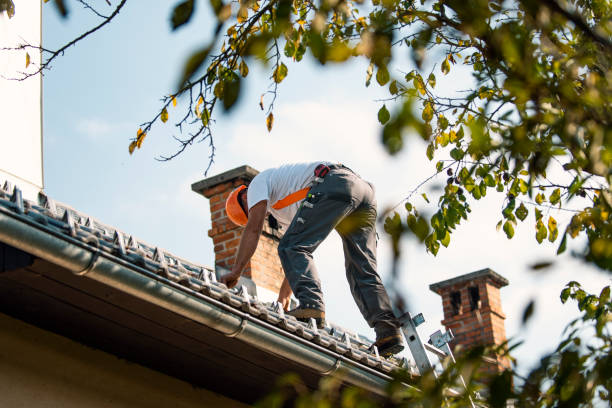 Best Flat Roof Repair Services  in Erlanger, KY